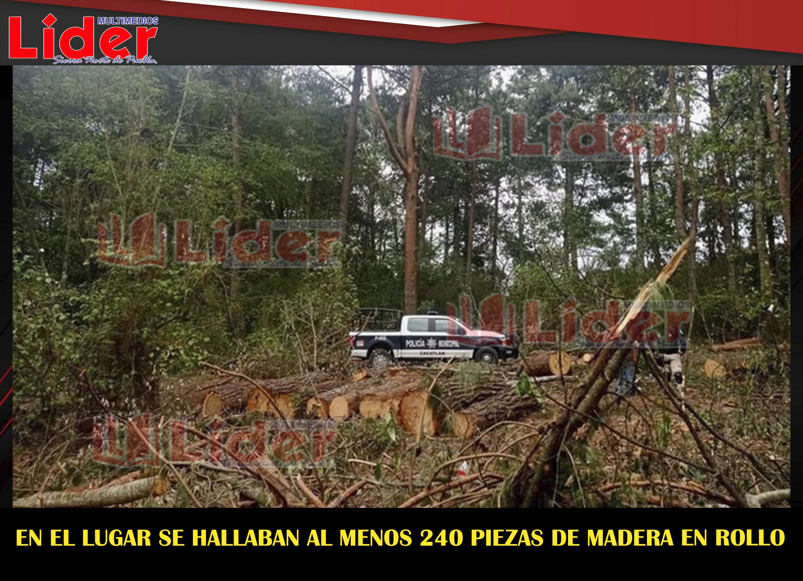 Policía municipal asegura rollos de madera posiblemente ilegal en Zacatlán