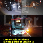 Fuerte accidente al impactar un Autobús de pasajeros a una vaca que se atravesó en la #AutopistaMexicoTuxpan