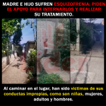 Piden apoyo para internar a Mamá e hijo con esquizofrenia que deambula desnudo en las Calles de Xicotepec.   