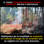 Protección Civil, Bomberos, Policías y Habitantes combaten fuego forestal en Monte Grande, Xicotepec.