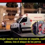 Mujer es atacada por perros en Tulancingo; fue trasladada al Hospital
